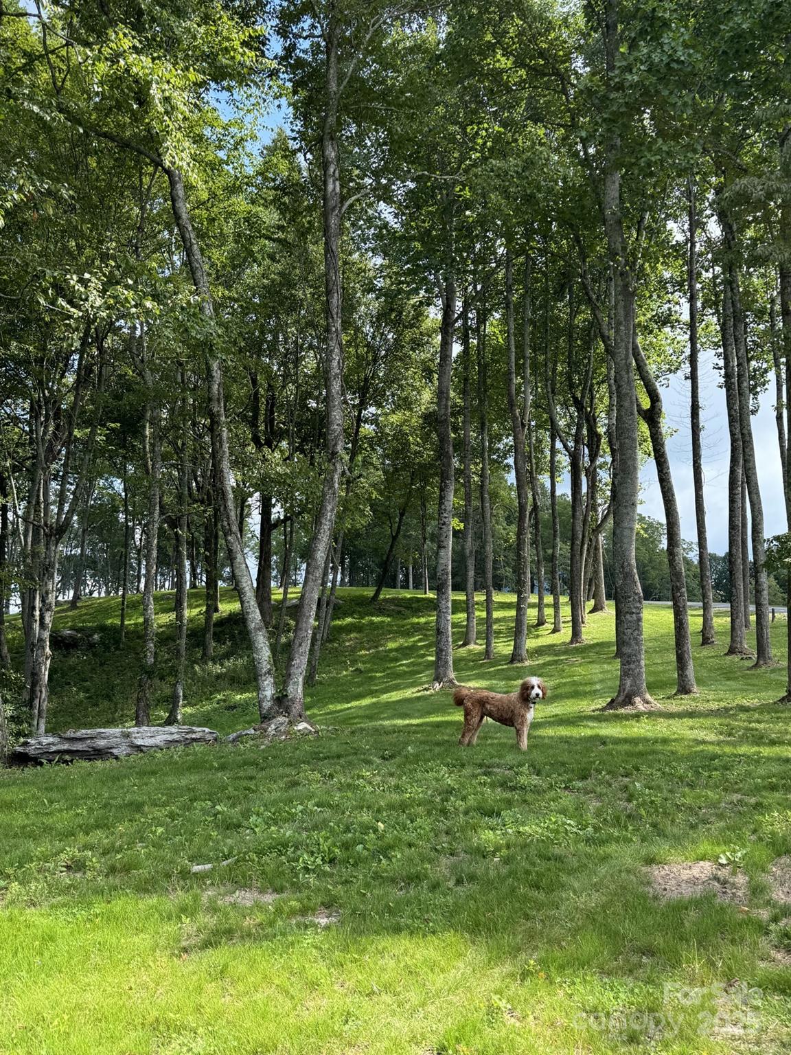 0000 West Garden Trail Unit: Lot 63
