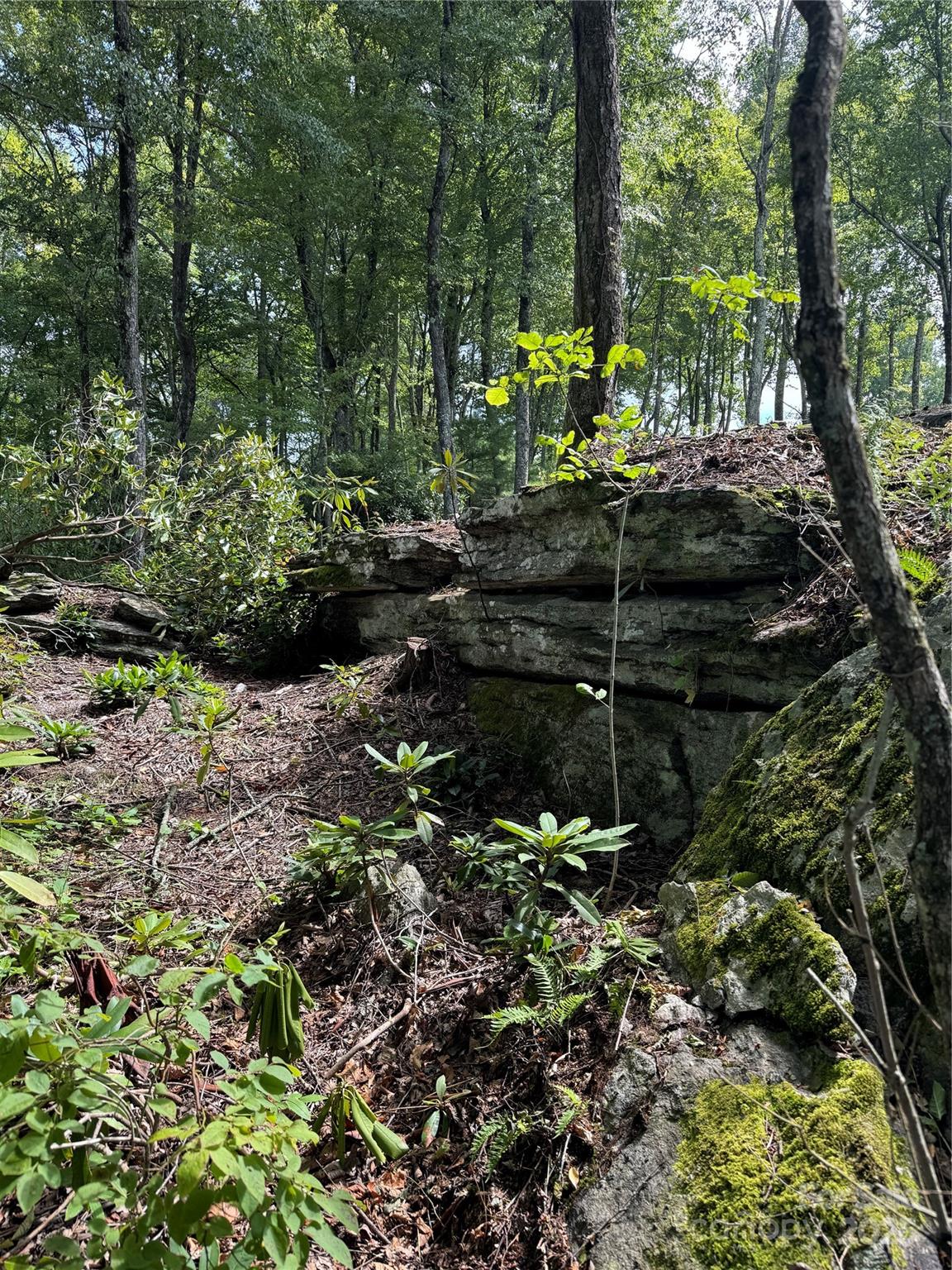 0000 West Garden Trail Unit: Lot 63