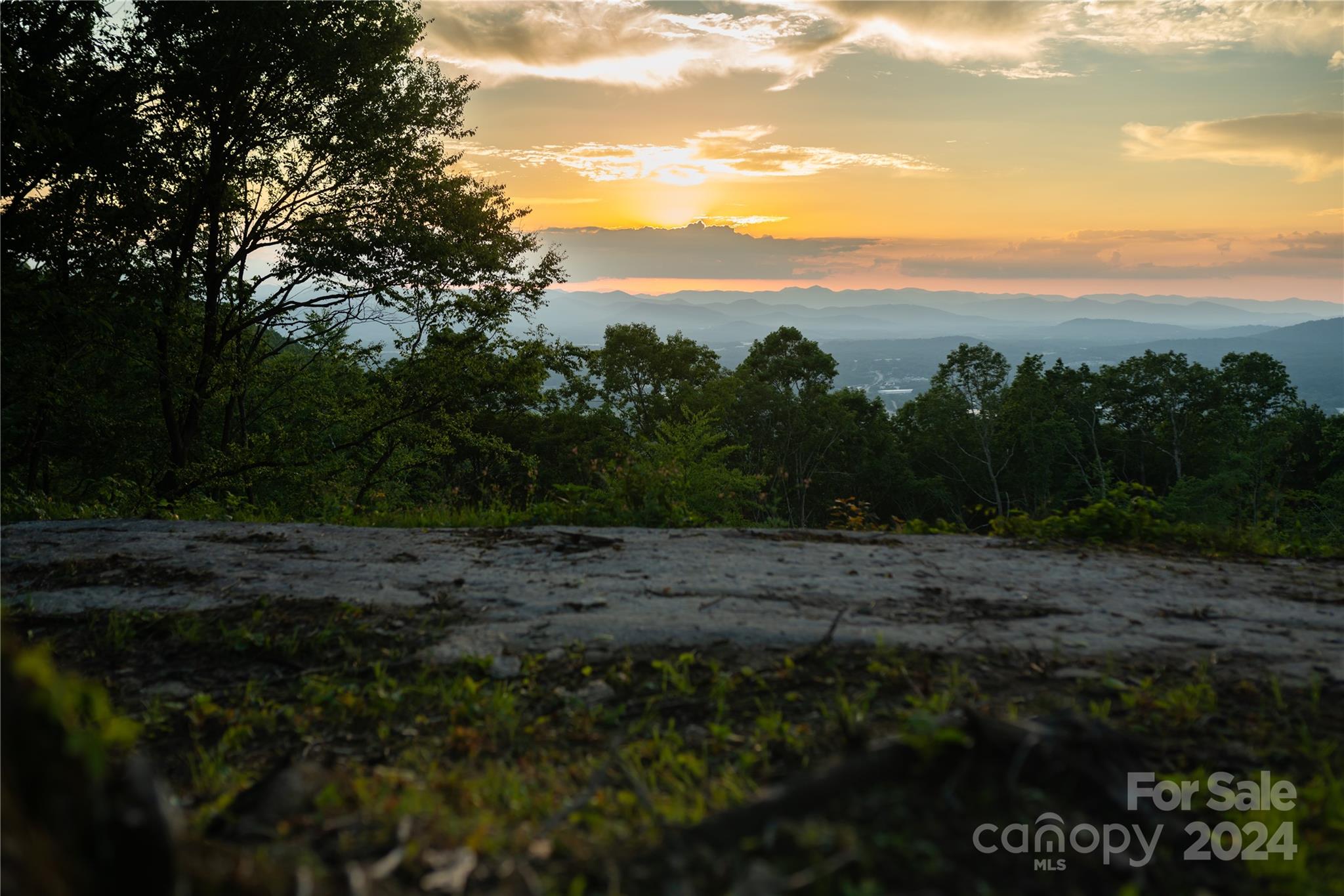 0000 Poplar Ridge Trail Unit: Lot 61