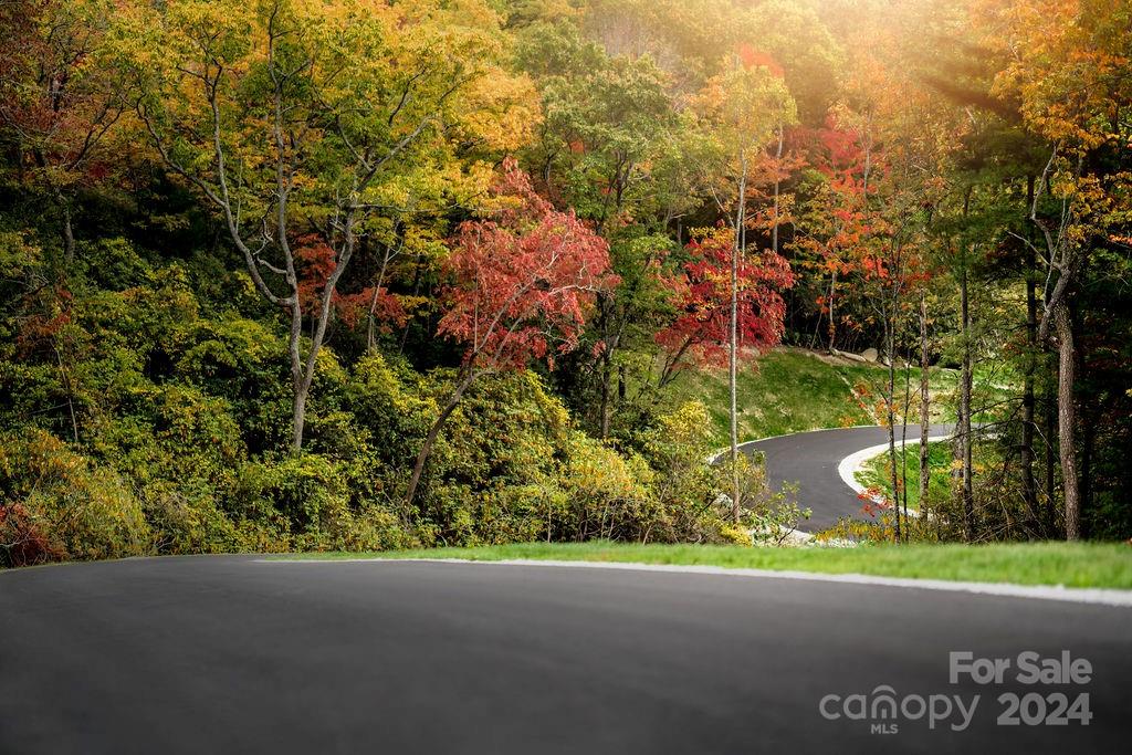 0000 Poplar Ridge Trail Unit: Lot 61