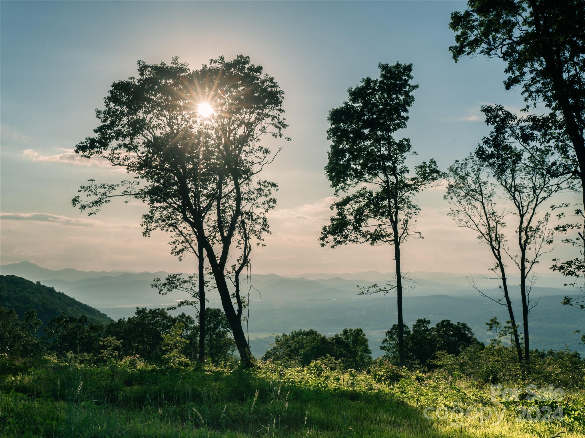 0000 Poplar Ridge Trail Unit: Lot 61