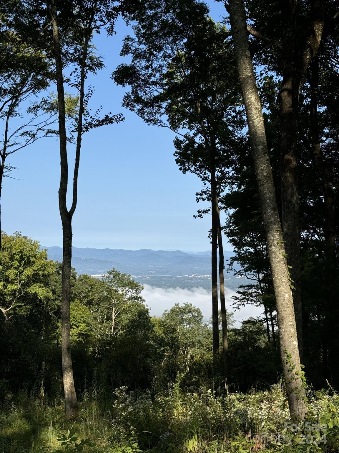0000 West Garden Trail Unit: Lot 62