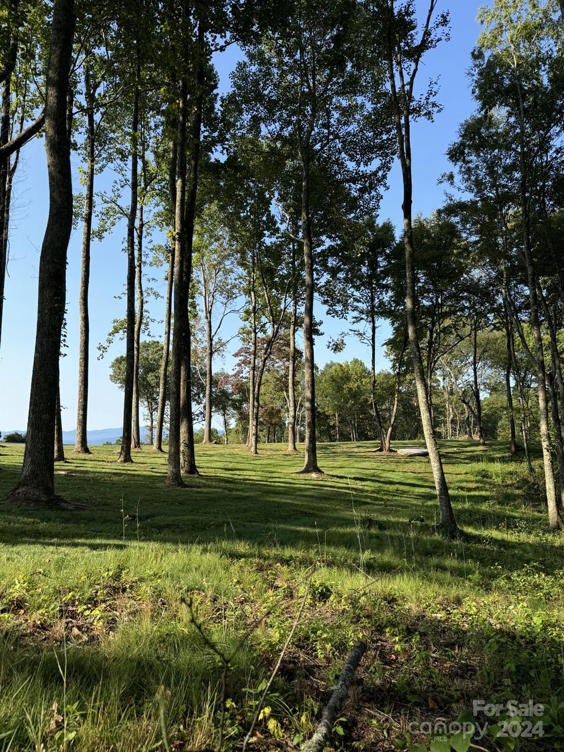 0000 West Garden Trail Unit: Lot 62