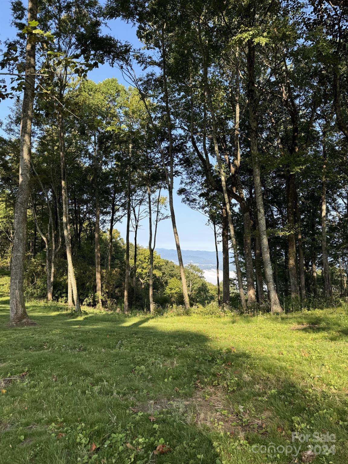0000 West Garden Trail Unit: Lot 62