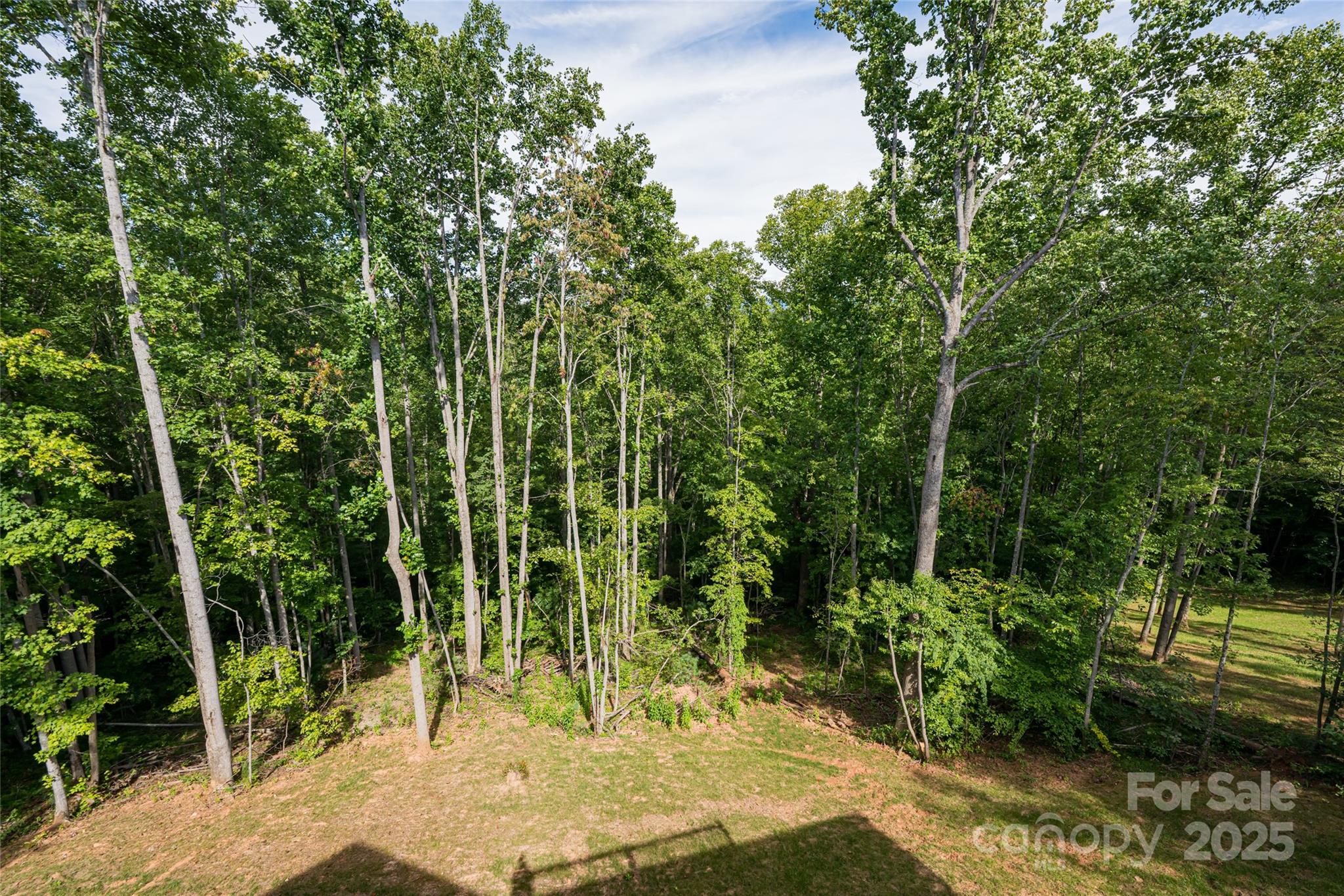 244 Country Drive