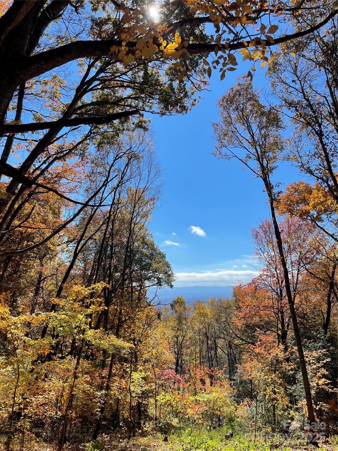 00000 New Sprout Lane Unit: 1