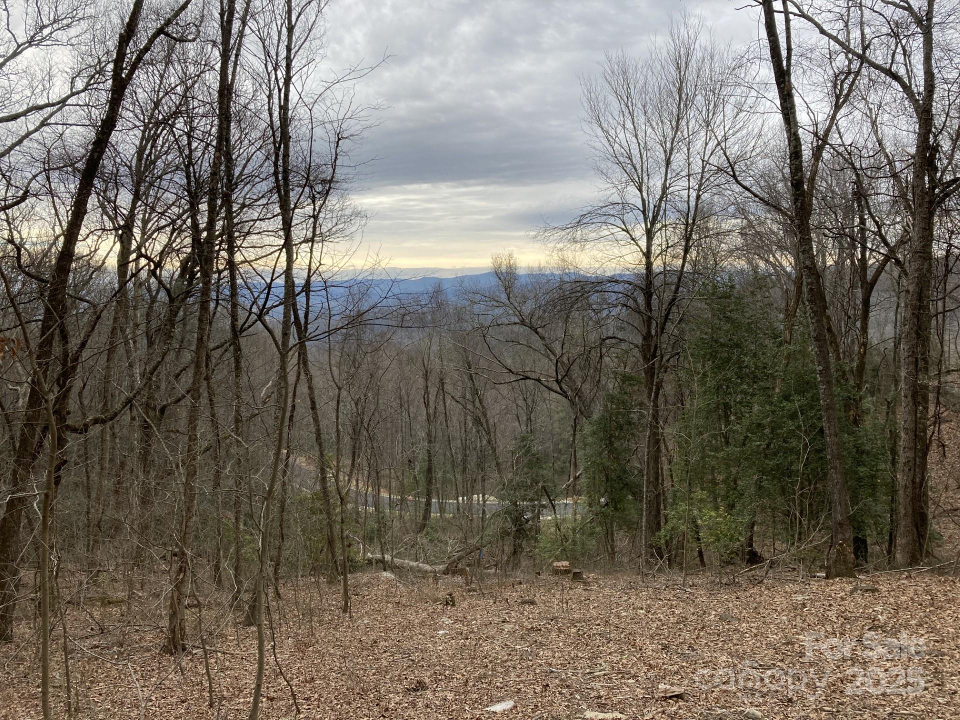 Sloping wooded lot with a distant mountain view through bare trees.