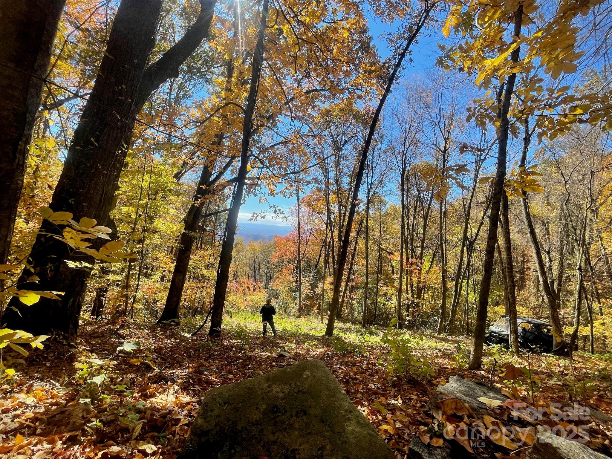 Wooded lot with autumn foliage, a foreground boulder, and distant mountain views.