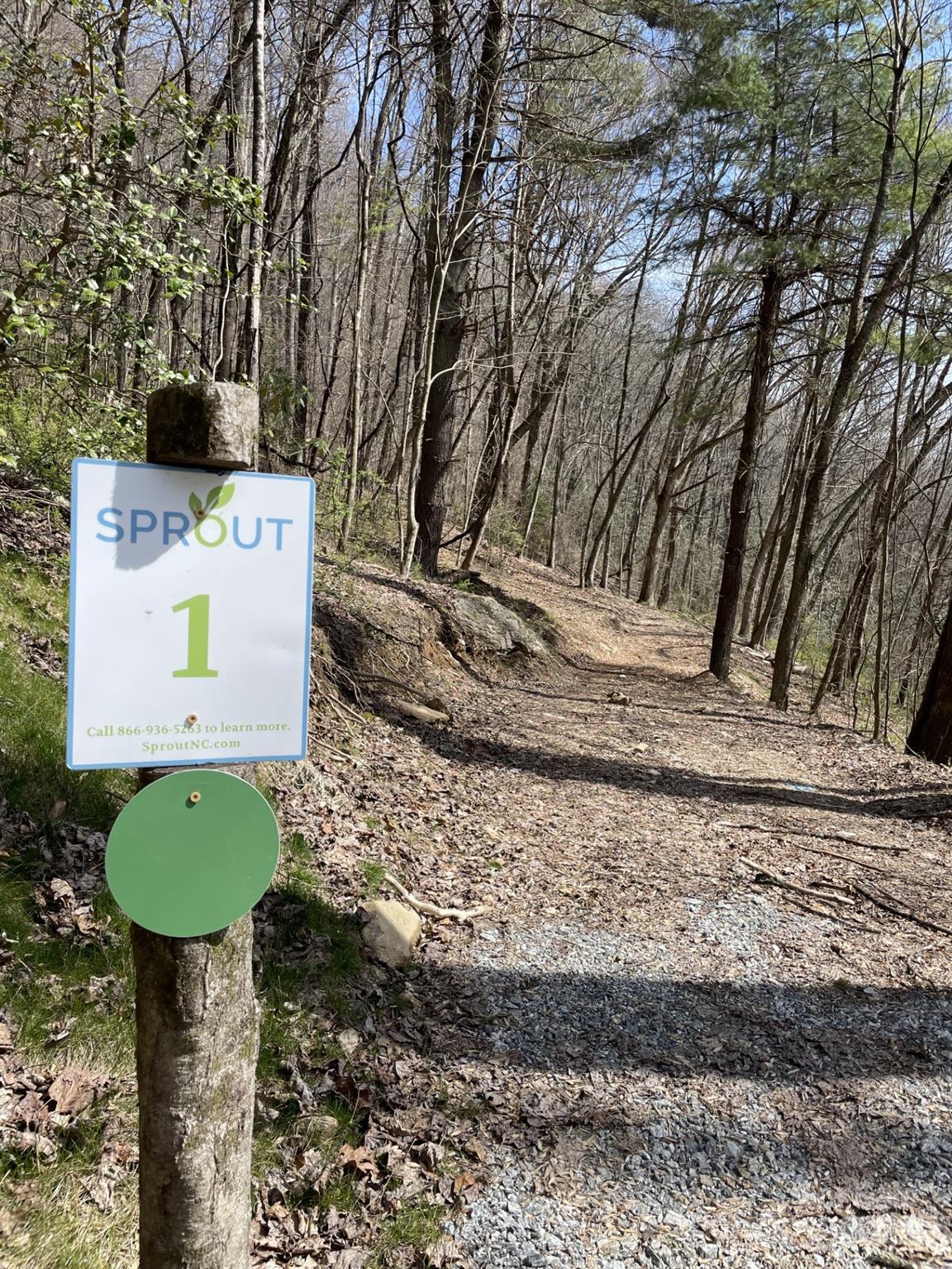 Woodland gravel path beside a Sprout sign marked 1.
