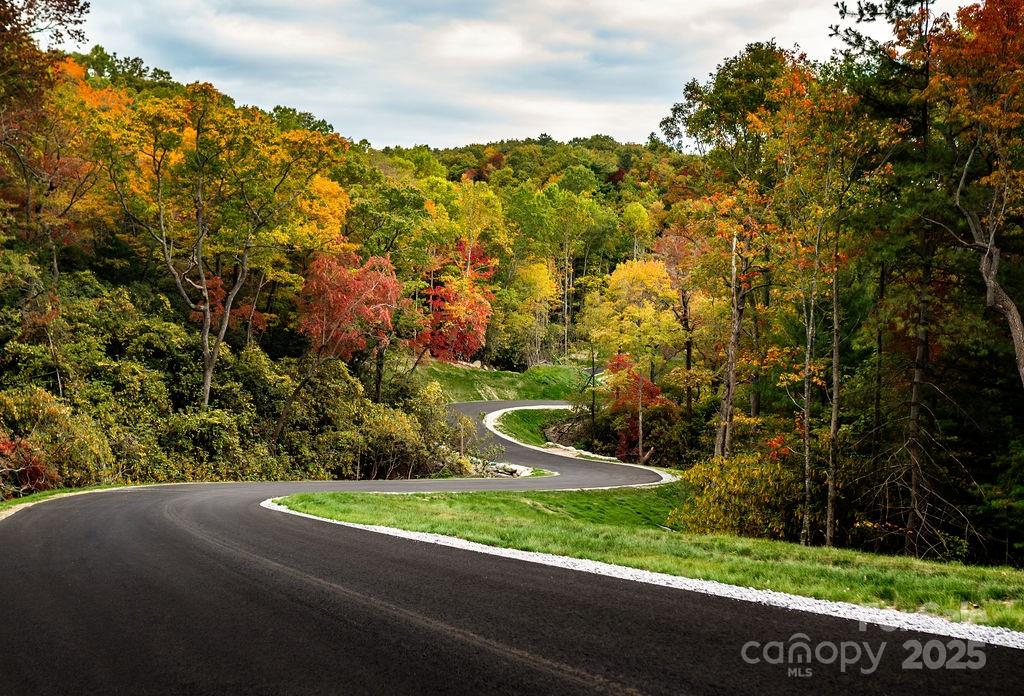 Winding paved road through wooded landscape with autumn foliage.