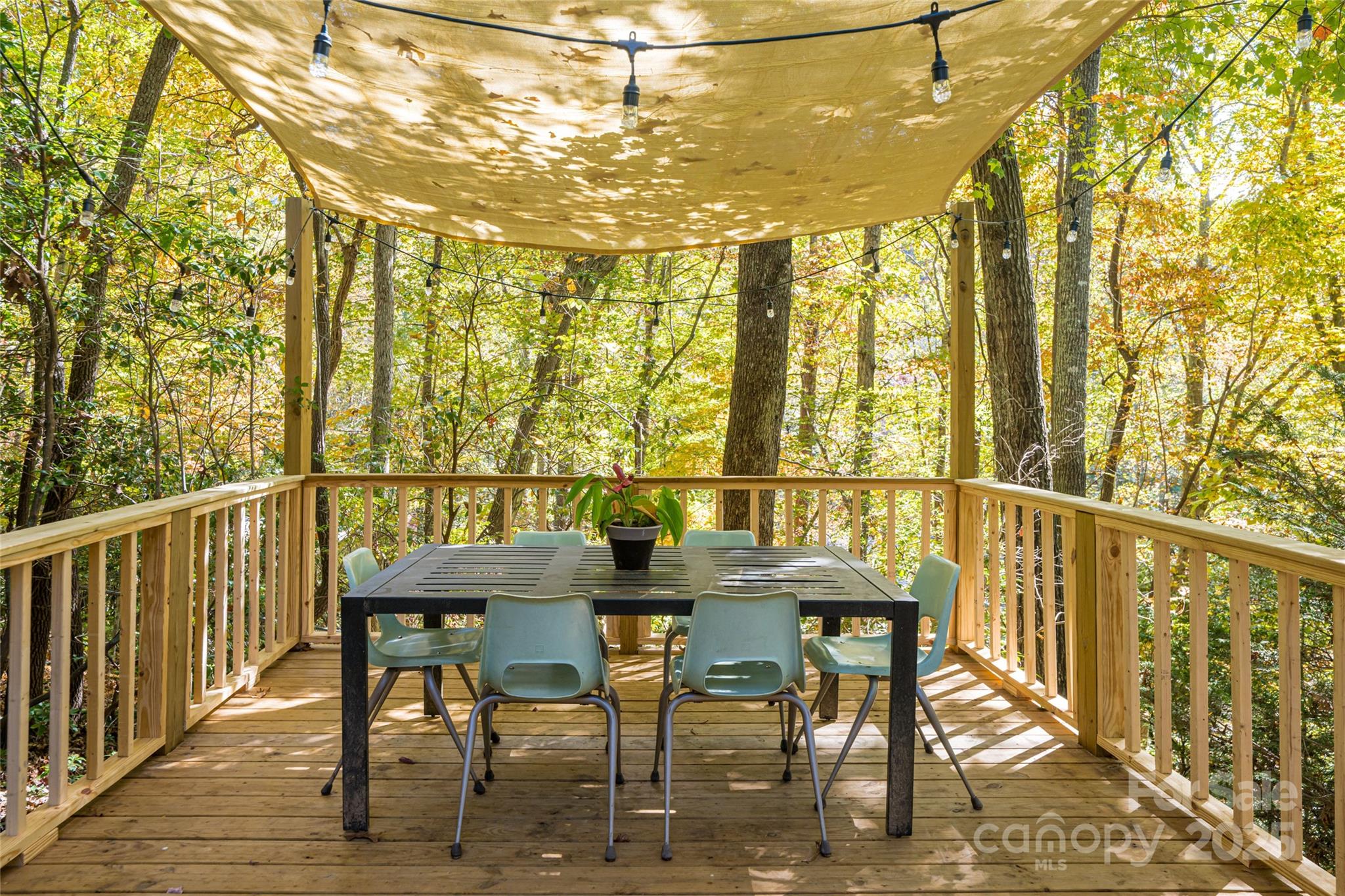 15 Coneflower Court