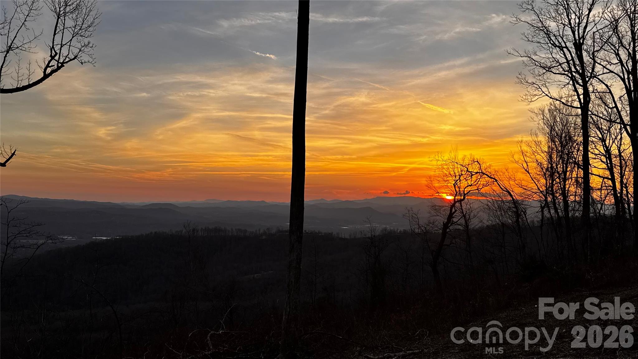 Mountain ridges at sunset, framed by silhouetted leafless trees on a wooded hillside.