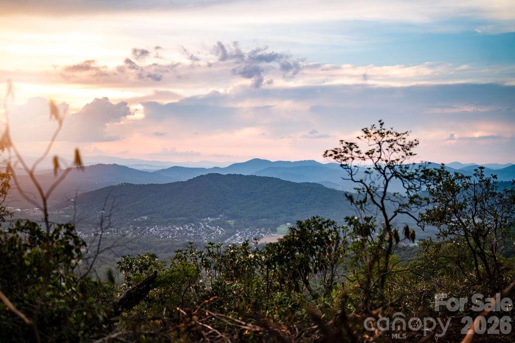 0 East Garden Trail Unit: 16