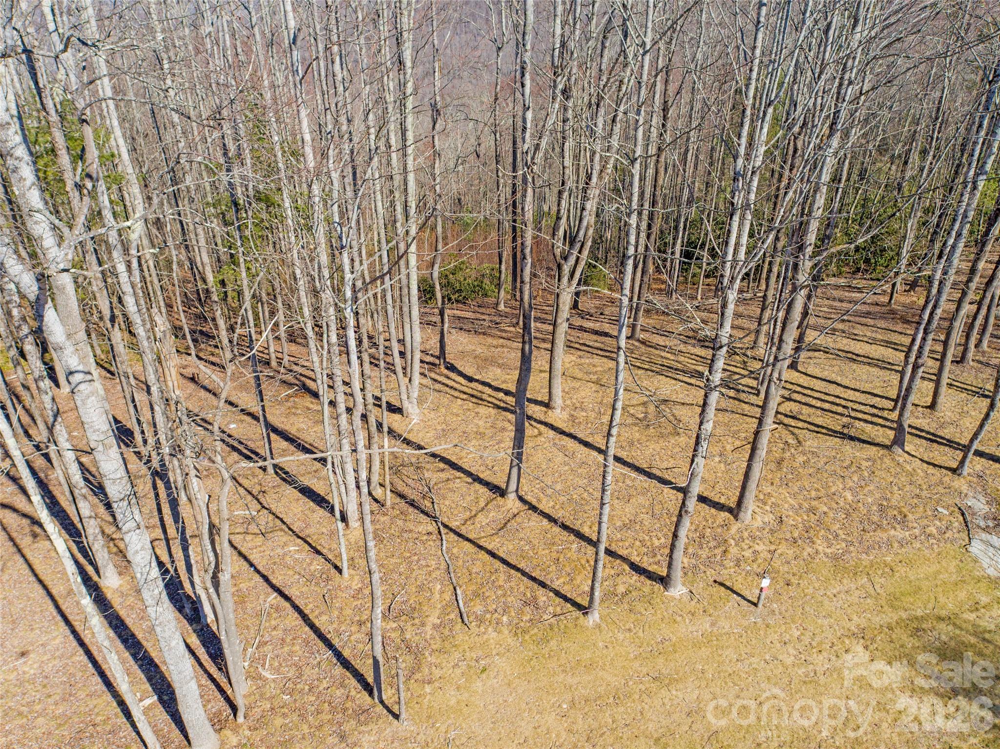 0 East Garden Trail Unit: 16