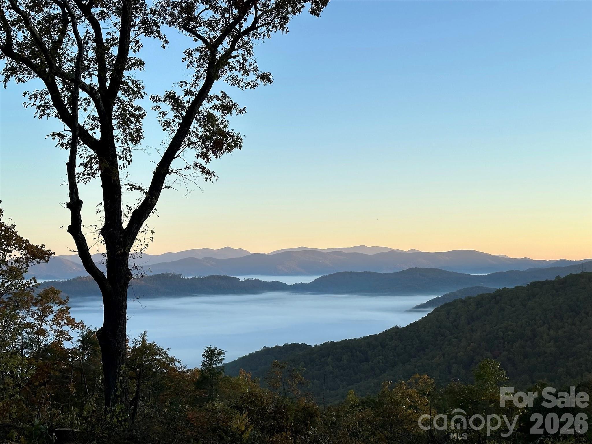 TBD W Garden Trail Unit: 57