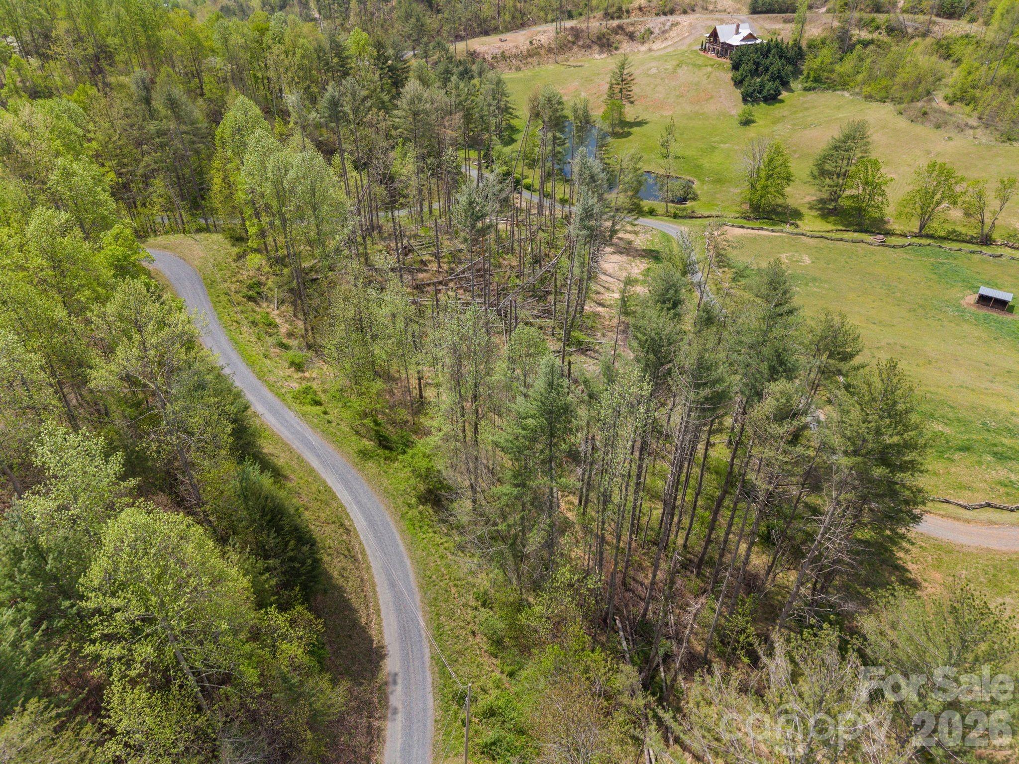 Aerial view of wooded land beside a winding road, with open meadow and a small pond.