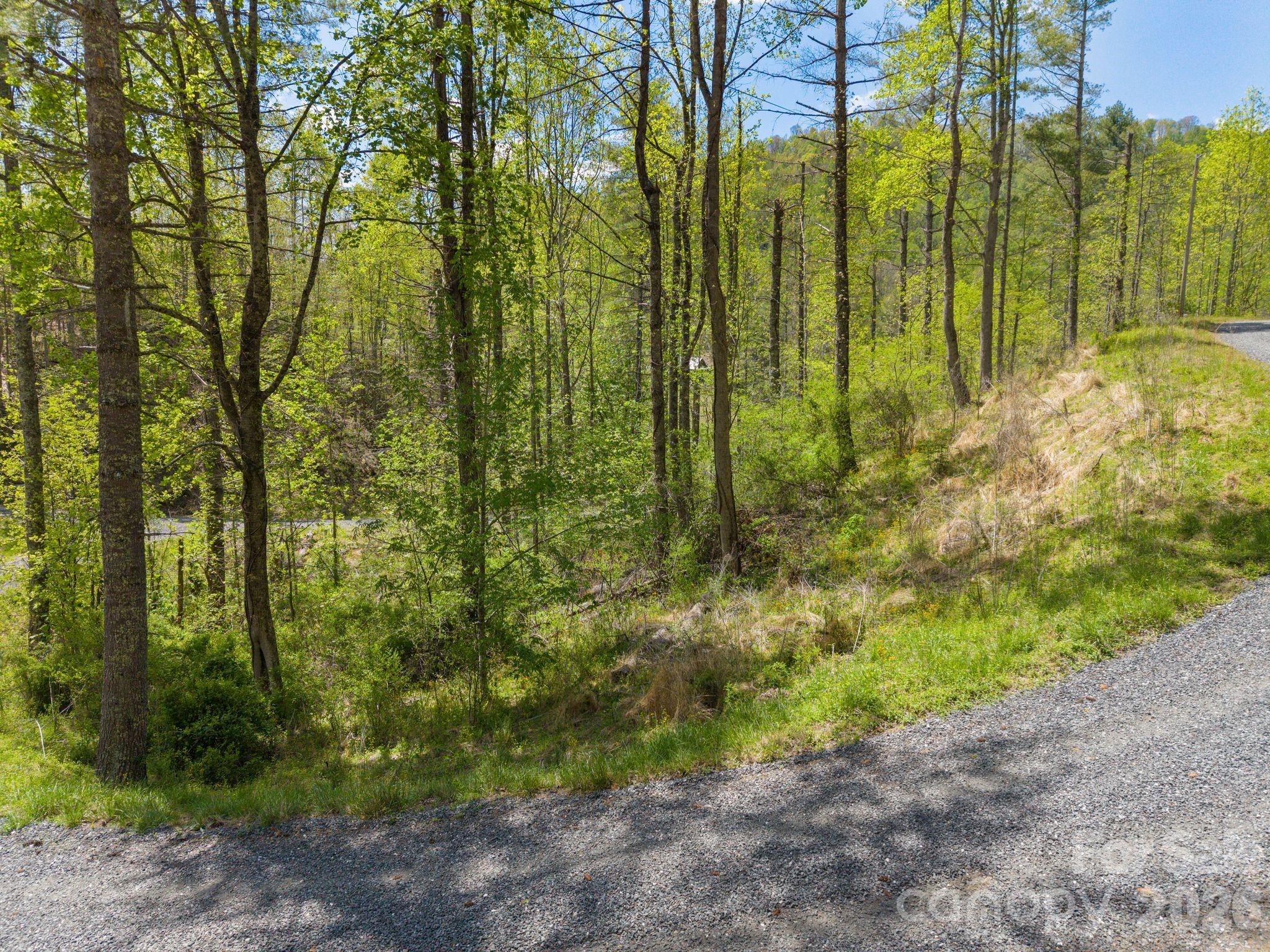 Wooded vacant lot beside a gravel road, with dense spring foliage and a grassy slope.