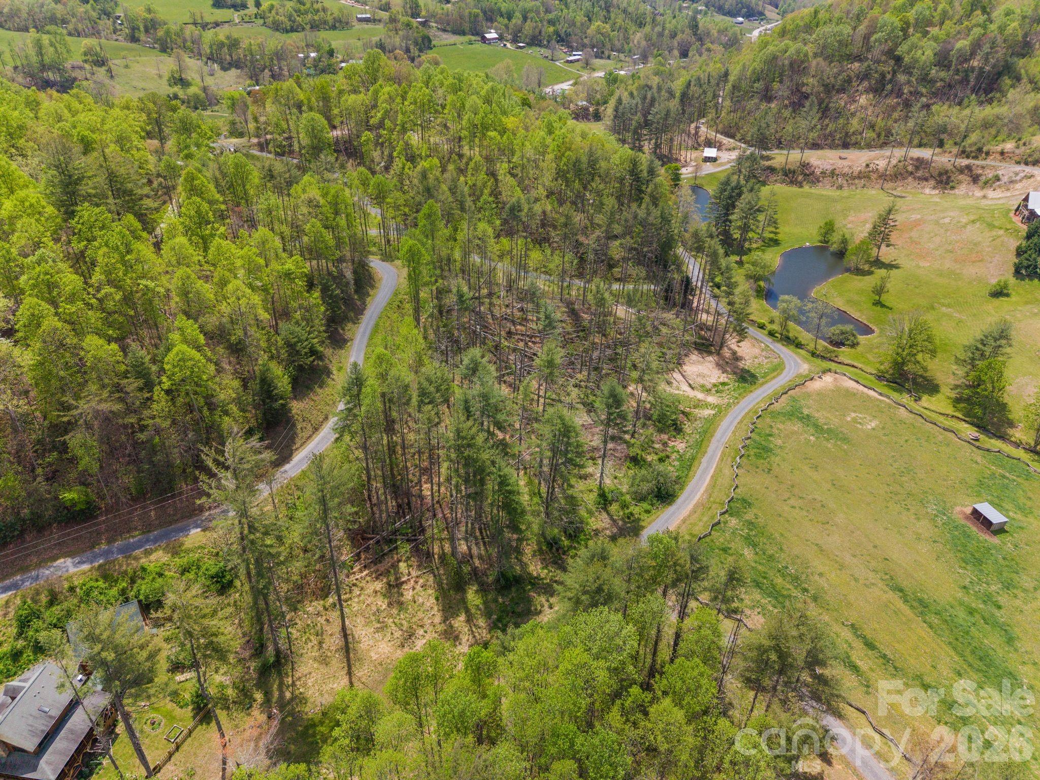 Aerial view of wooded land with winding roads, a pond, and open grassy fields.