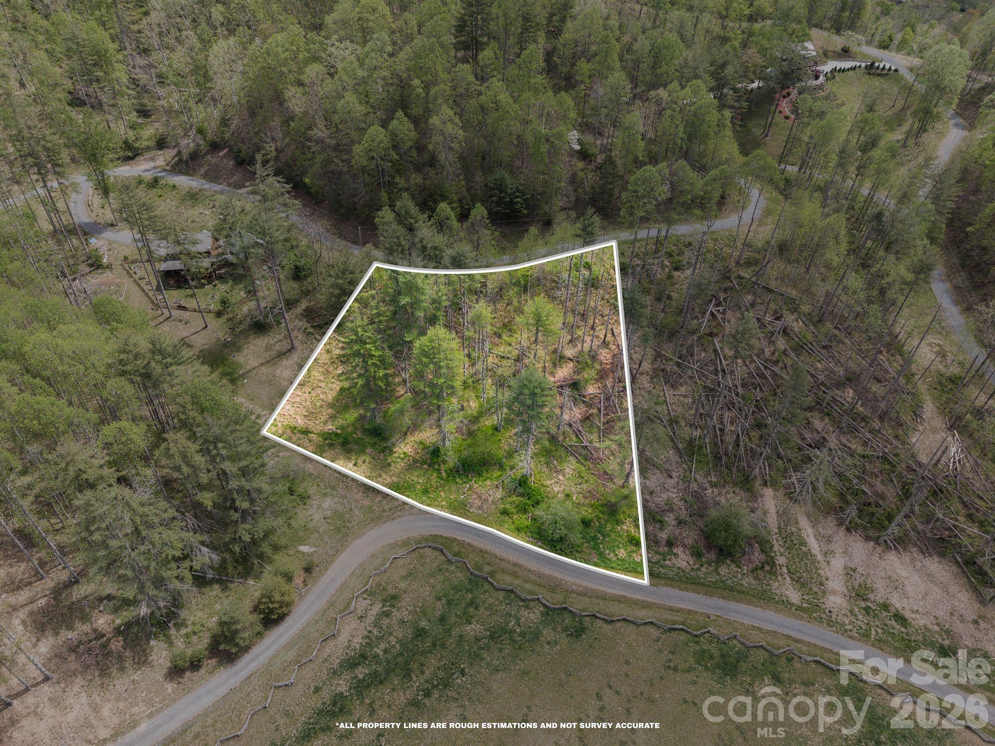 Aerial view of a wooded lot outlined in white beside a curving road.
