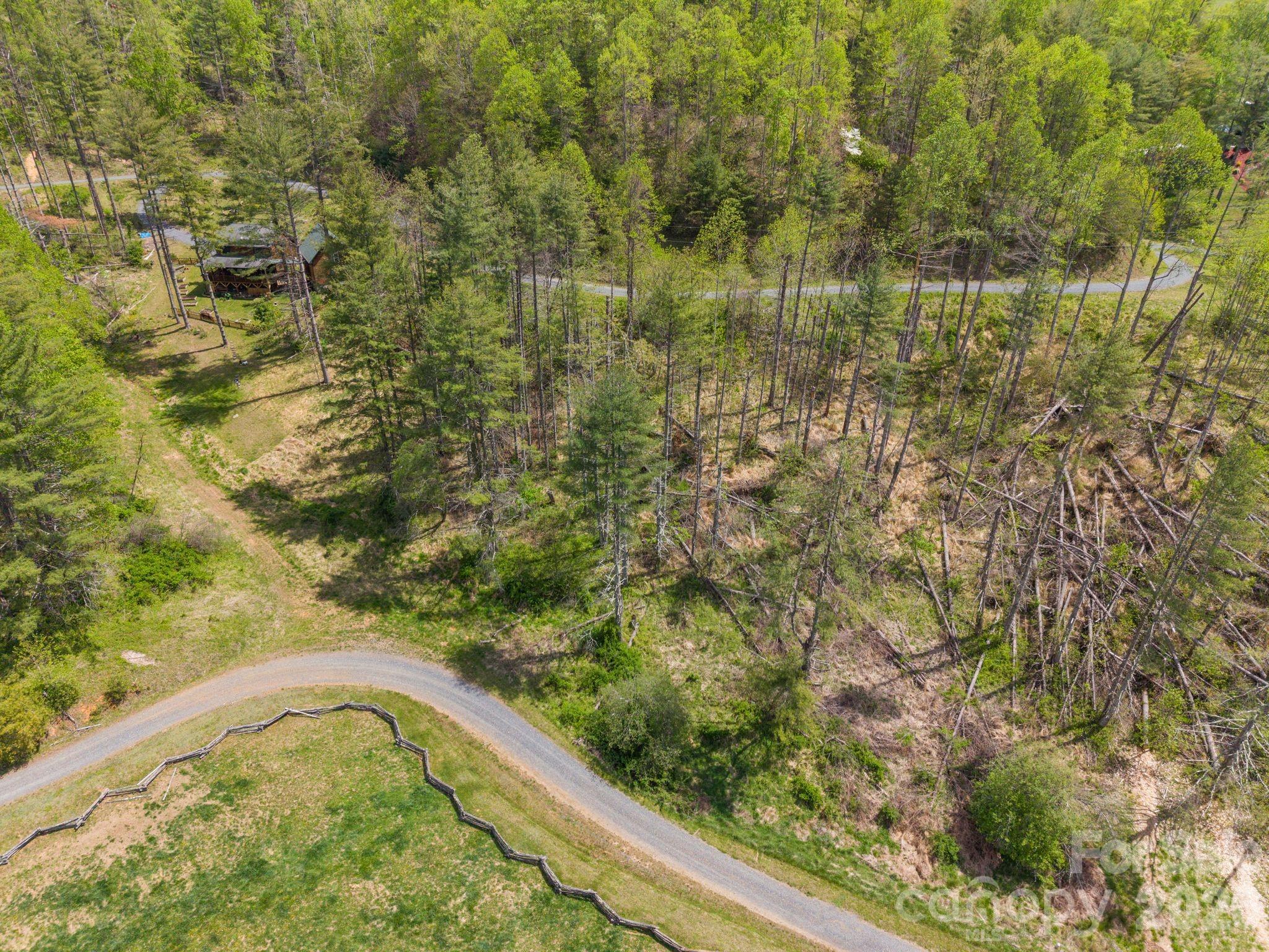 Aerial view of wooded land with a grassy clearing, winding road, and cabin among the trees.