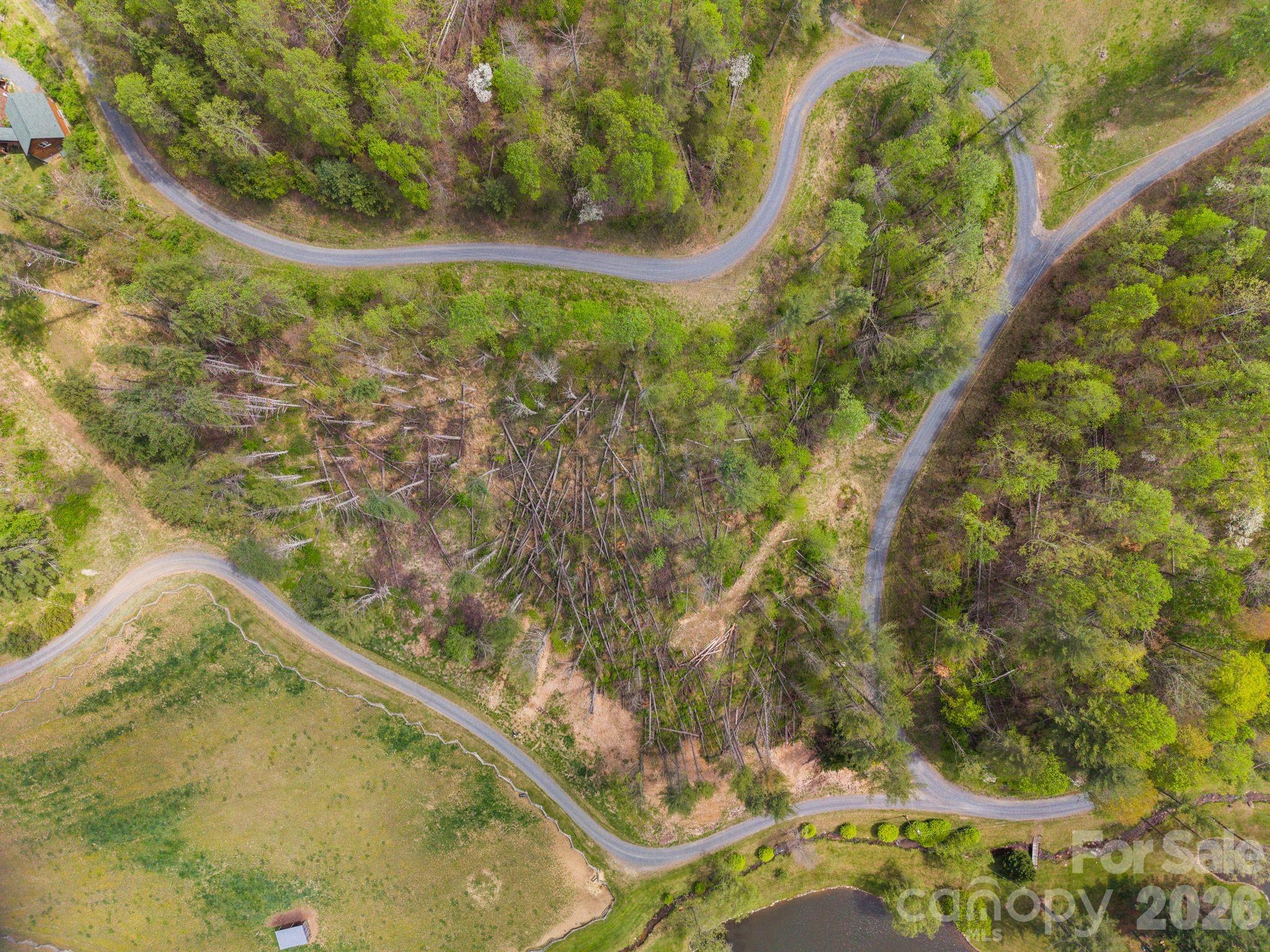 Aerial view of wooded land with winding roads and a clearing strewn with fallen trees.