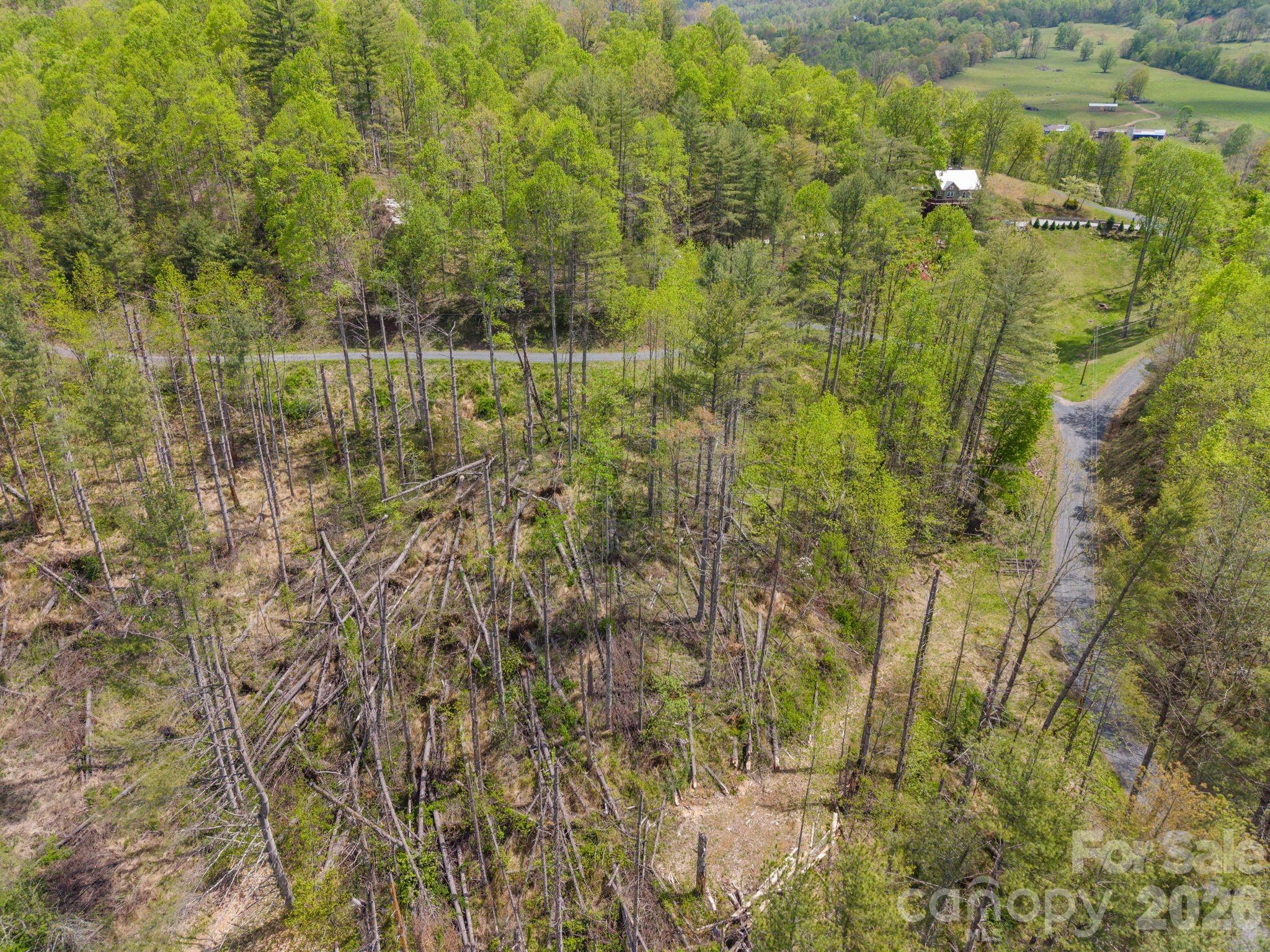 Aerial view of a wooded vacant parcel with fallen trees and a gravel road.