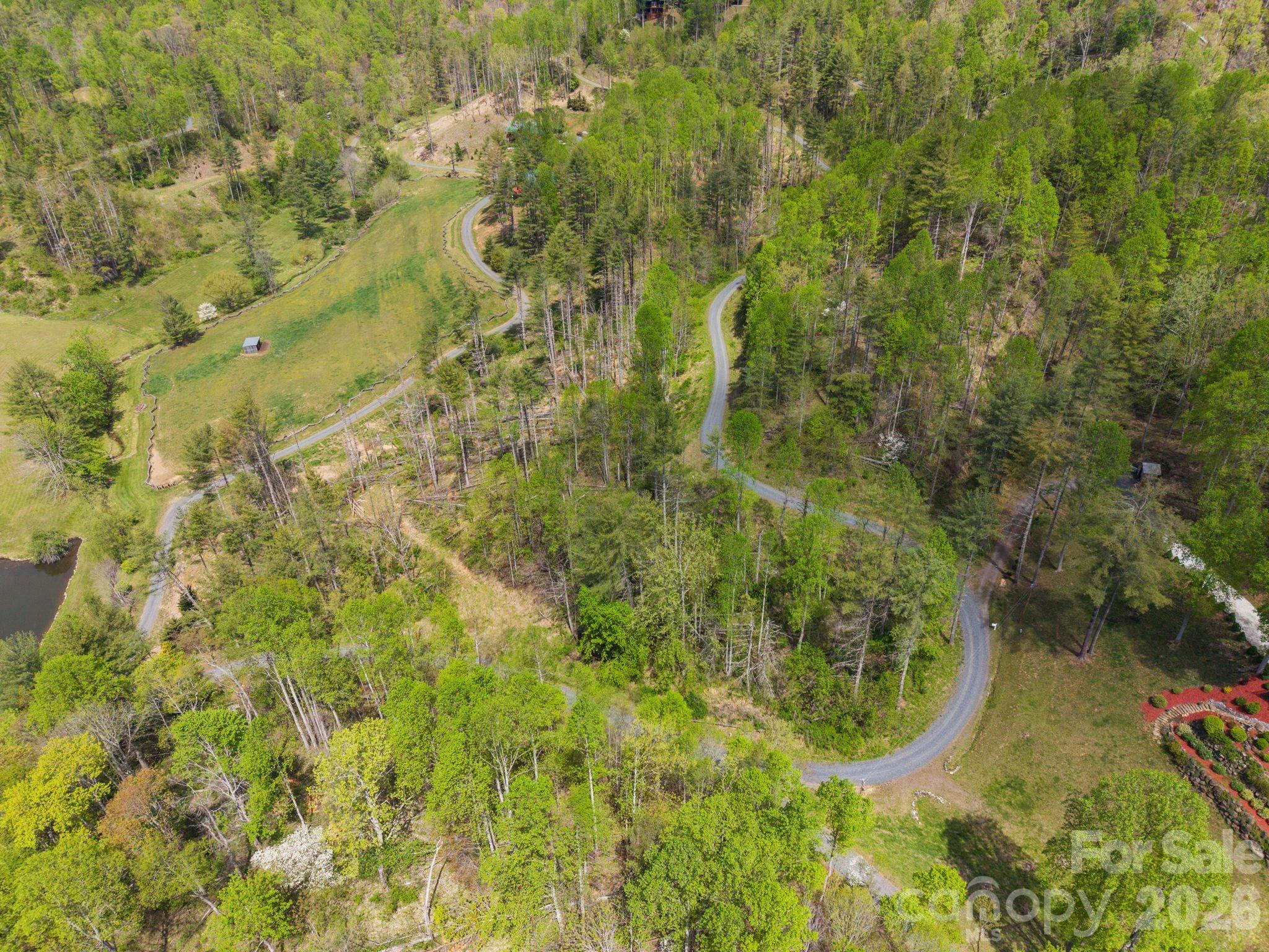 Aerial view of wooded property with winding roads, an open meadow, and a small pond.