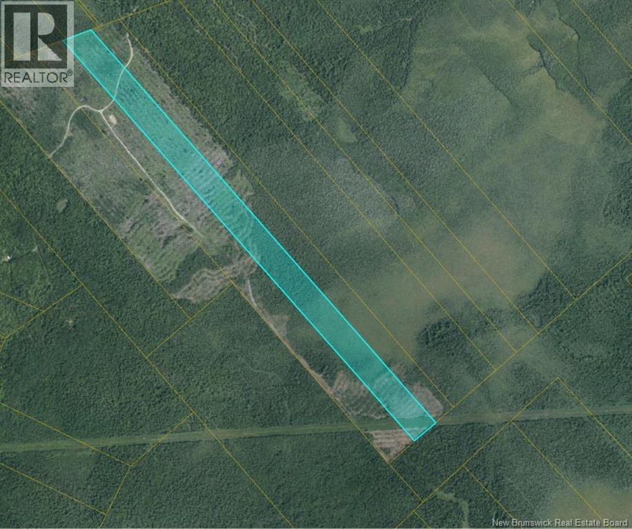 00 WOODLAND S MCKNIGHT GT - South Napan Rd 2nd Tier