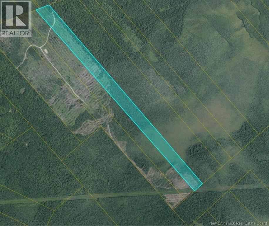 00 WOODLAND S MCKNIGHT GT1 - SOUTH NAPAN RD 2ND TIER