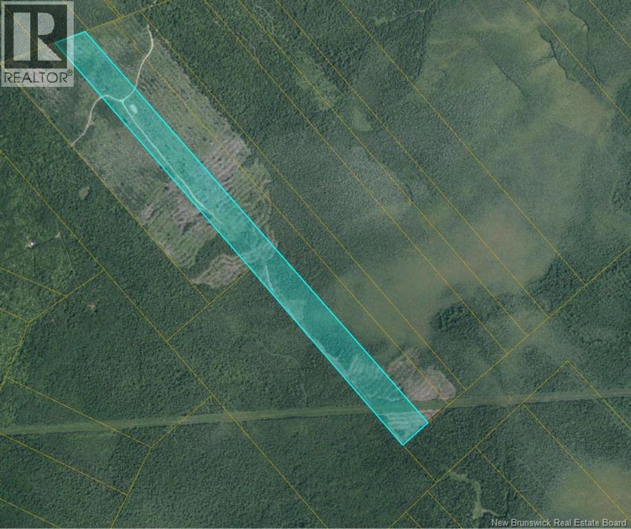 00 WOODLAND S MCKNIGHT GT2 - South Napan Rd 2nd Tier