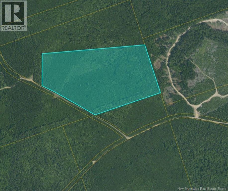 . Woodland Lot Smith Rd E-S - Baltimore