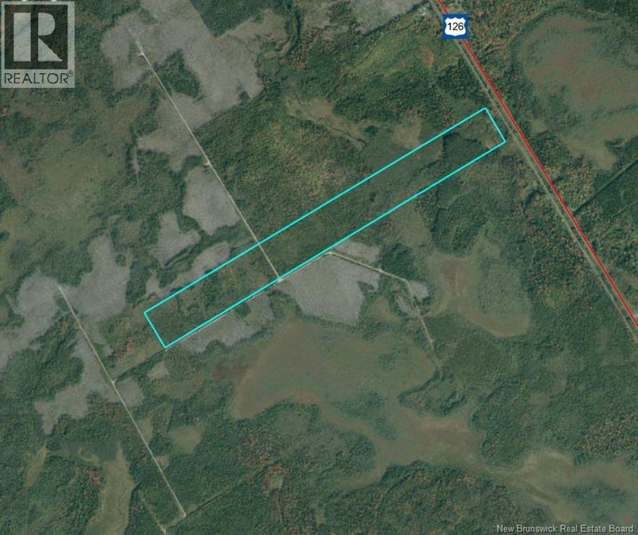 WOODLOT 54 - RTE 126(BIRCH RIDGE)