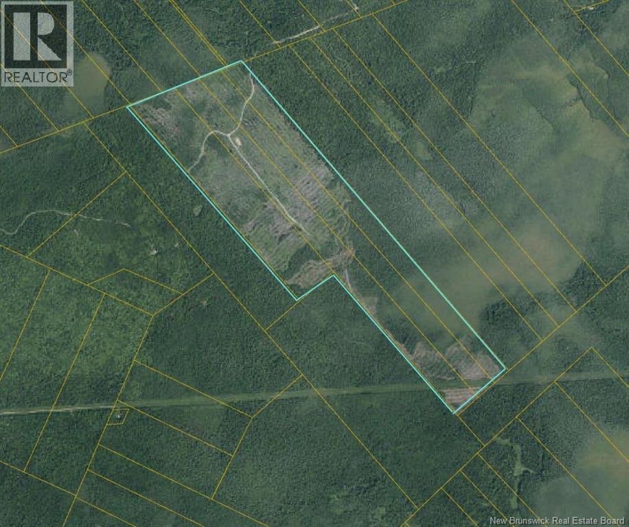 South Napan - 4 Interior Woodlot Parcels