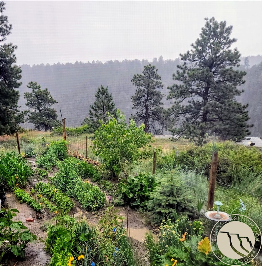 3103 Chief Looking Glass Road