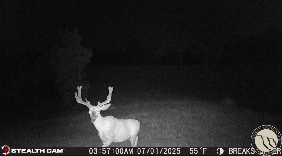 2168 Trophy Ridge