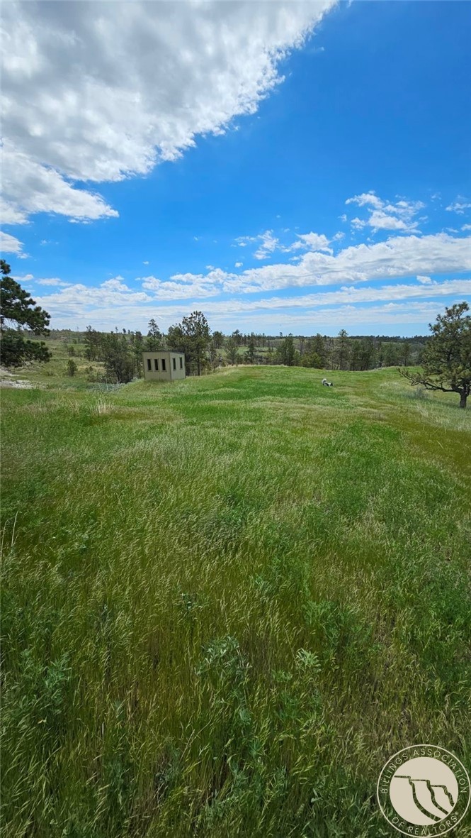 2168 Trophy Ridge