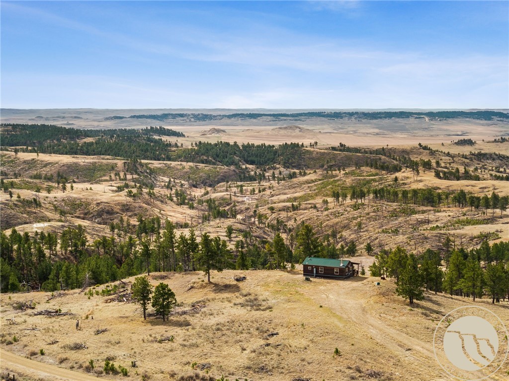 2168 Trophy Ridge