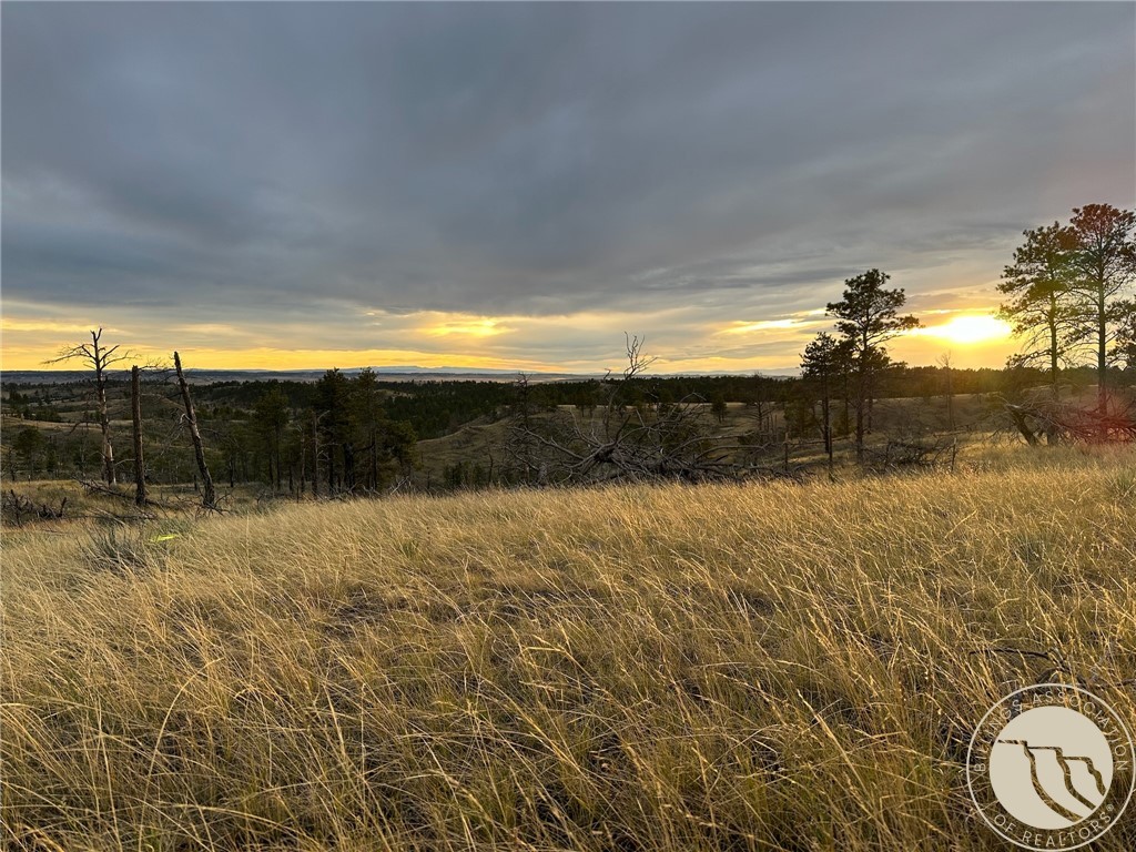 2168 Trophy Ridge