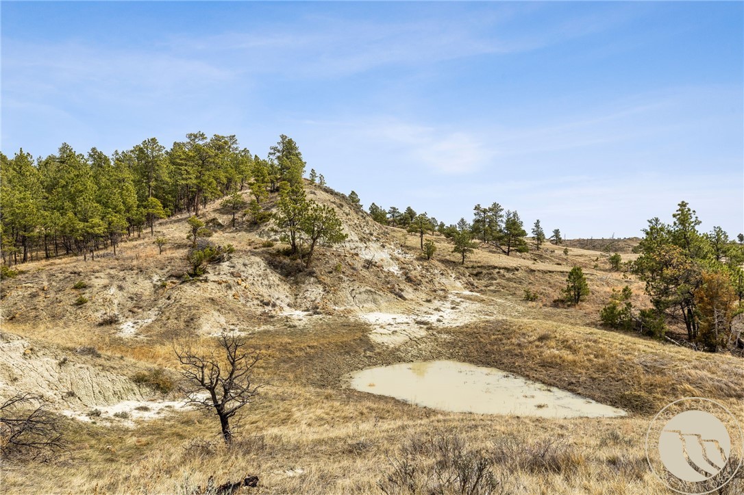 2168 Trophy Ridge
