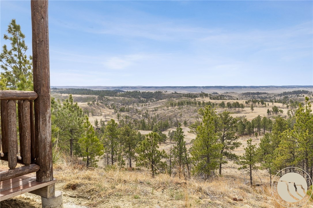2168 Trophy Ridge