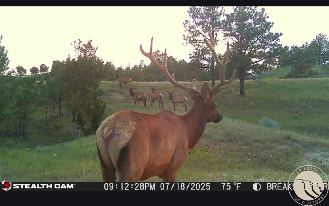 2168 Trophy Ridge