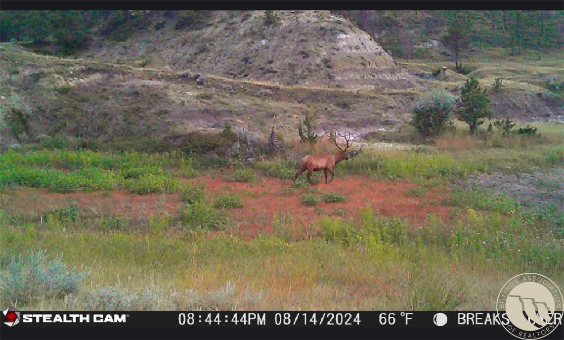 2168 Trophy Ridge