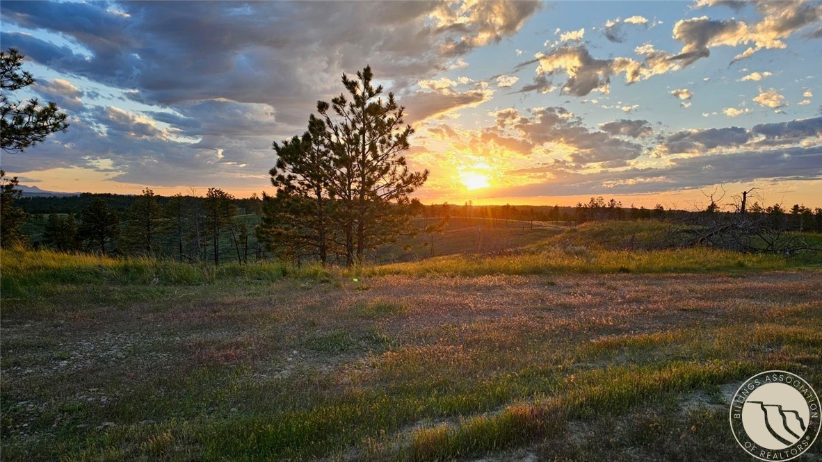 2168 Trophy Ridge