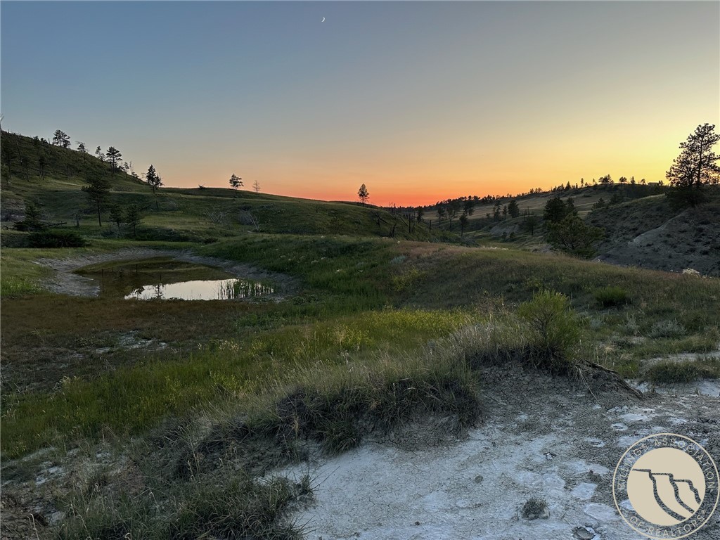 2168 Trophy Ridge