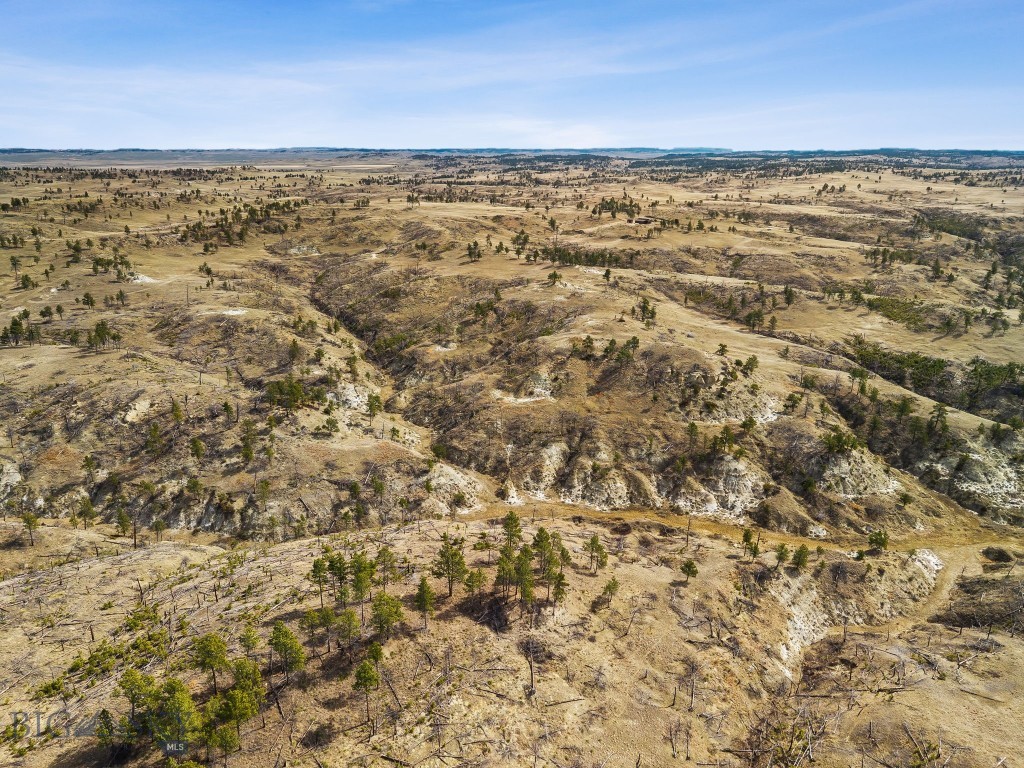 2168 Trophy Ridge