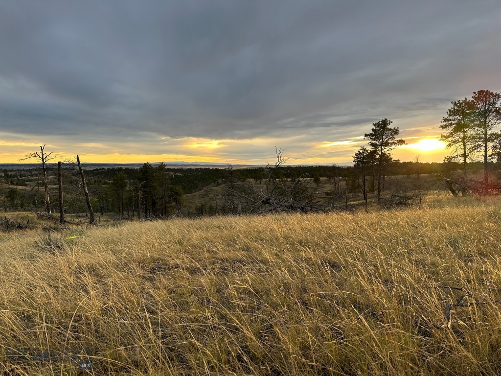 2168 Trophy Ridge