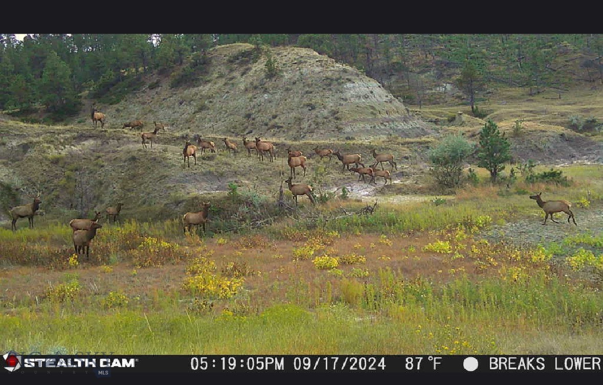 2168 Trophy Ridge