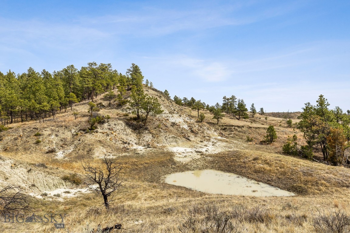 2168 Trophy Ridge