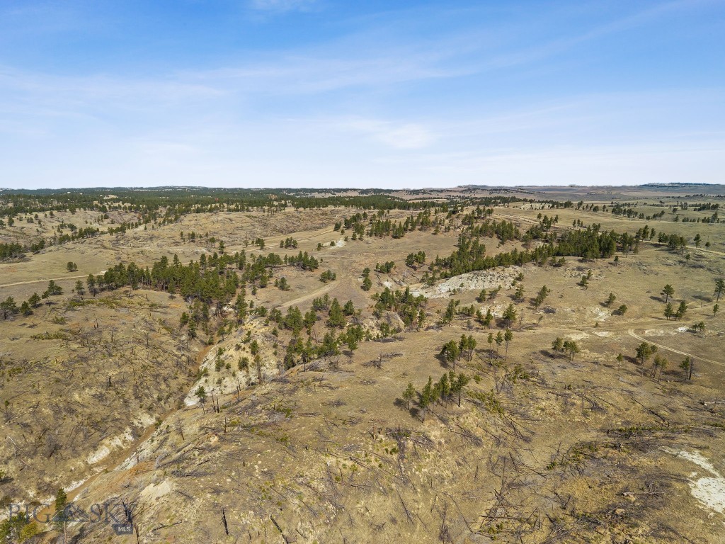 2168 Trophy Ridge