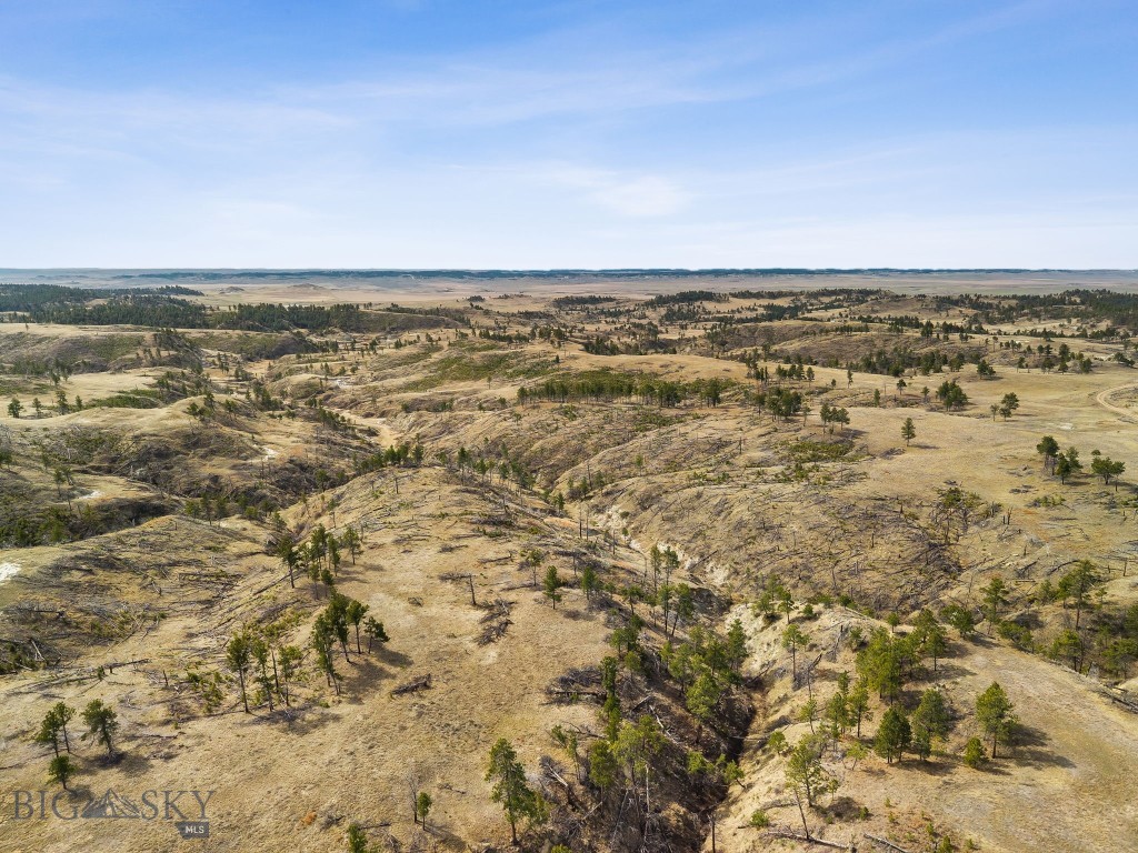2168 Trophy Ridge